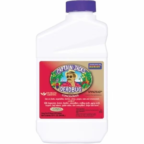 Bonide BND253 Bonide Qt Dead Bug Brew Conc, Bonide Products, Mfr#: BND253